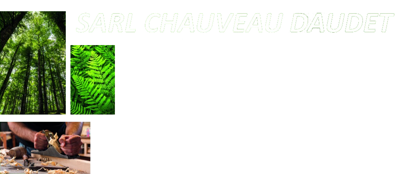SARL CHAUVEAU-DAUDET Logo